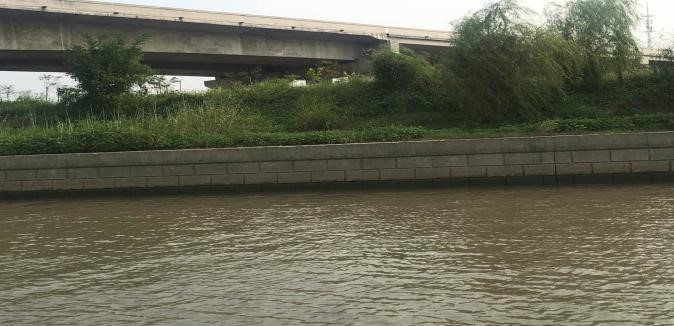 1687071099263526.jpg 1687071099263526.jpg