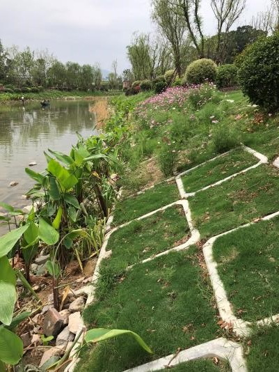 1687074608570515.jpg 1687074608570515.jpg