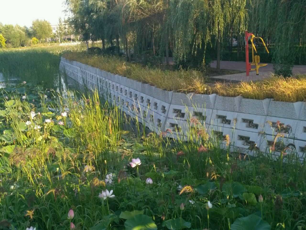 1687074955663076.jpg 1687074955663076.jpg