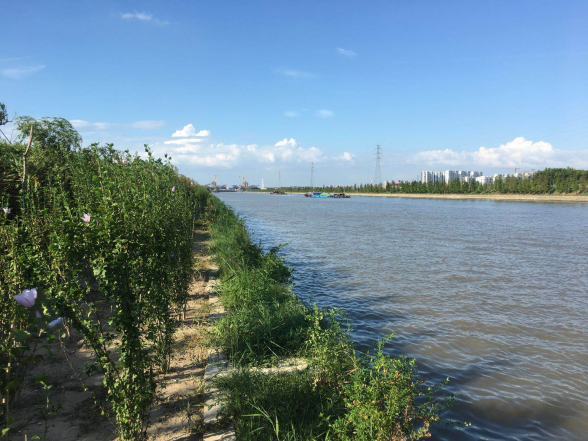 建華建材:預(yù)制空箱裝配式護(hù)岸